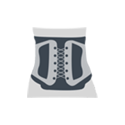 Body Belts & Braces